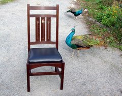 Chair and friends.